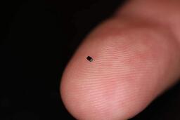 Camera nhỏ nhất thế giới có kích thước chỉ bằng hạt muối